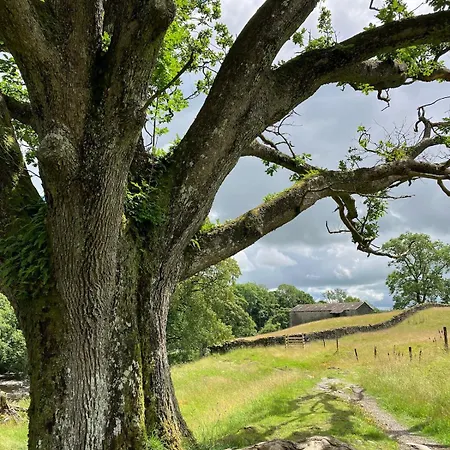 Ferienhaus Ashdene With Secure 'sun Trap' Garden