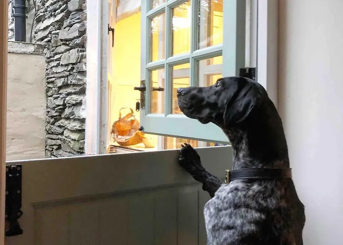 度假居 Ashdene With Secure 'sun Trap' Garden 肯德尔