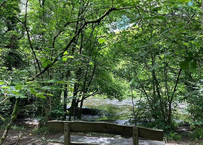 Ashdene With Secure 'sun Trap' Garden 度假居