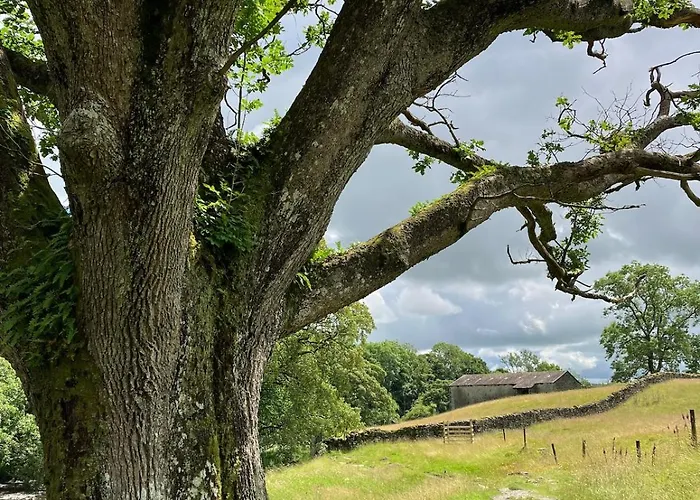 度假居 Ashdene With Secure 'sun Trap' Garden