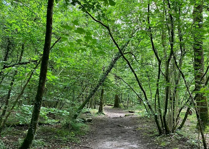 Ashdene With Secure 'sun Trap' Garden *