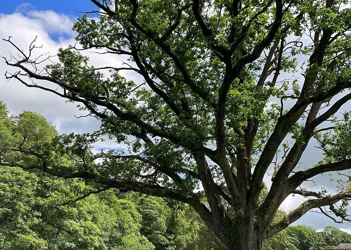 Ashdene With Secure 'sun Trap' Garden 度假居 肯德尔